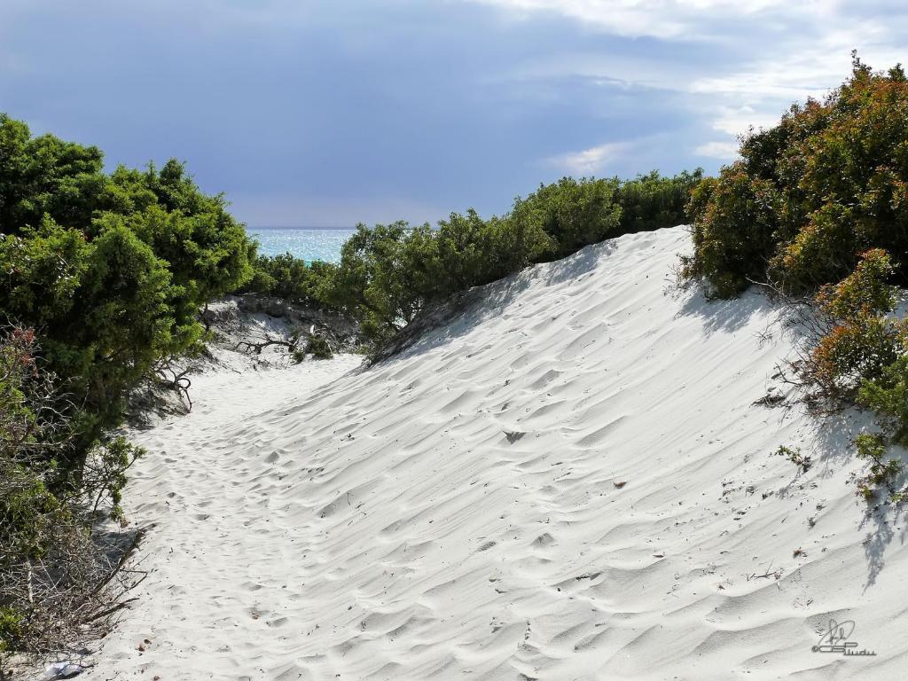Fiore Di Maggio Villasimius Esterno foto