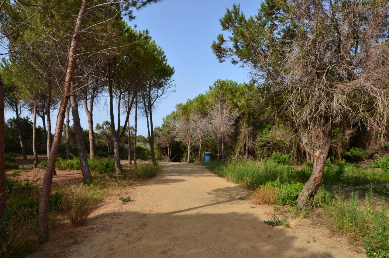 Fiore Di Maggio Villasimius Esterno foto